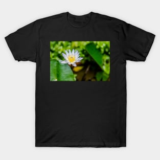 Unique nature photography Water lily Nympthaea T-Shirt